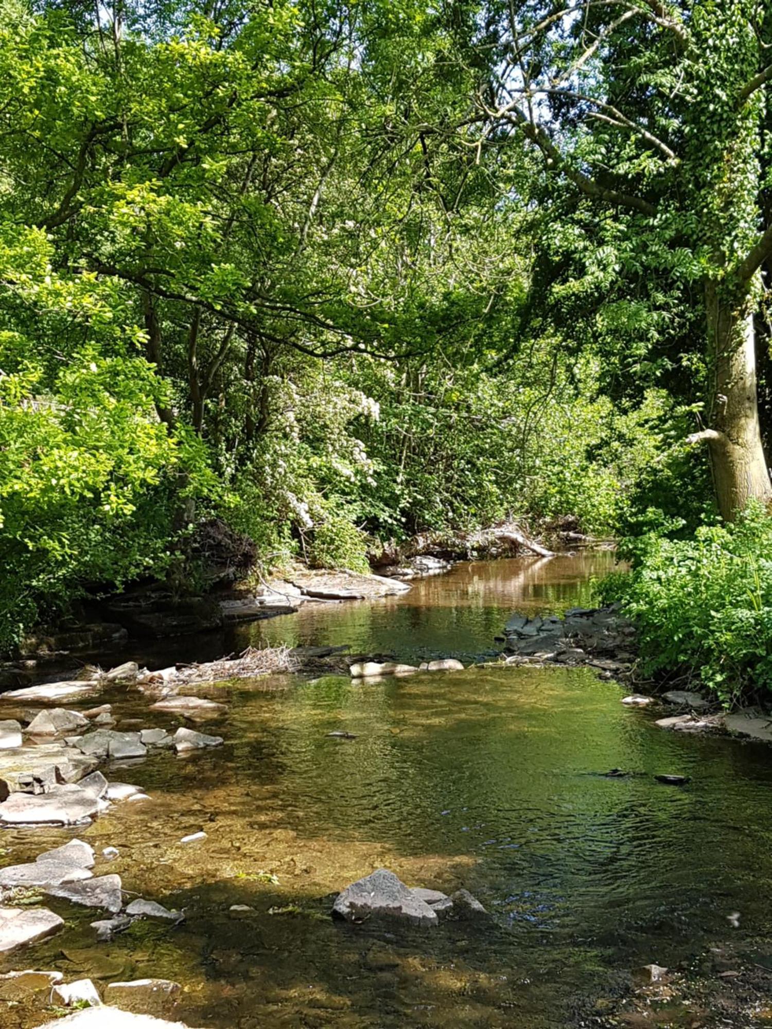 River Cottage@Cwm Mill - Riverside Family Holidays In The Black Mountains Hereford Luaran gambar